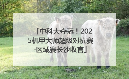 中科大夺冠！2025机甲大师超级对抗赛·区域赛长沙收官